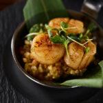 delicious-grilled-scallops-with-green-leaves-and-m-2021-09-22-01-04-34-utc