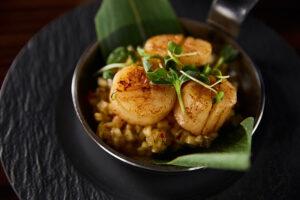 delicious-grilled-scallops-with-green-leaves-and-m-2021-09-22-01-04-34-utc